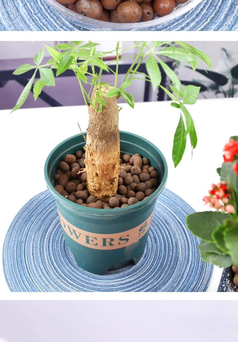 0d468242-e555-45e5-9814-5c262e379e19.jpe