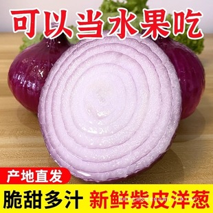 �����Ƥ���[���r����ˮ�����[�A�[�߲˼tƤ�خa�r�ҬF���r���ԷN