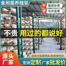 ������Ģ���WƬʳ�� ���W��䓹ܷNֲ�ܴ���ƽ���㹽�l�����Nֲ�W