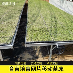 �紲�W�����r�ô���ֲ���������ƄӷNֲ���B�����������WƬ�紲