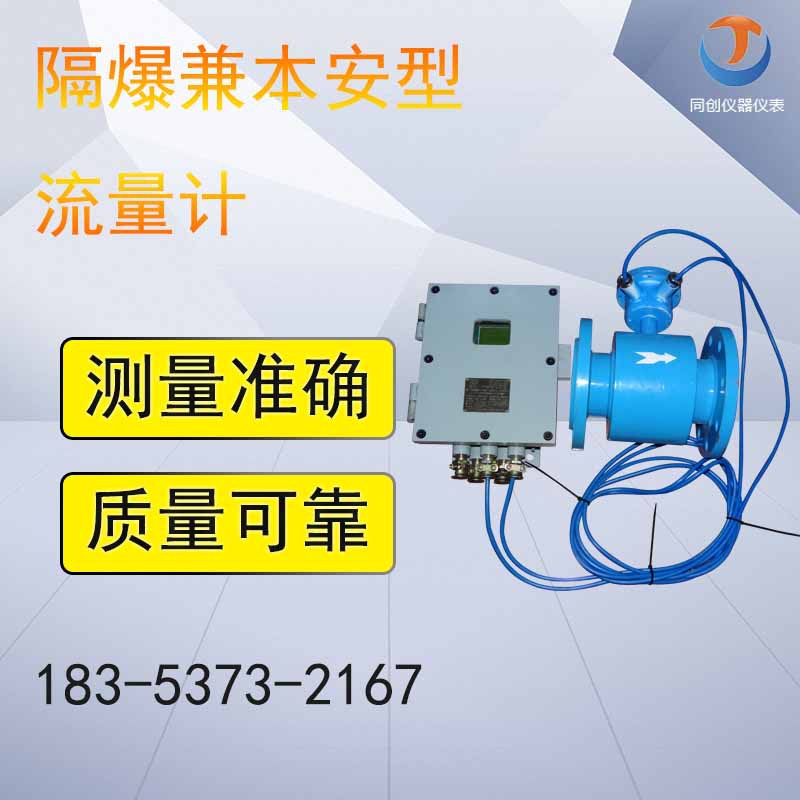 隔爆兼本安型流量计