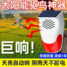��B����ȫ�Ԅ�����ڑ���̫��ܳ��������̨���׵��s�B���B��