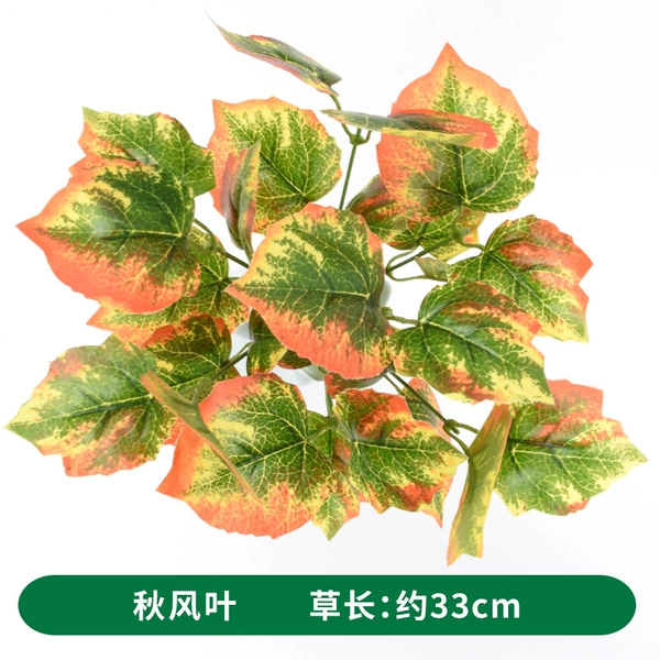 Autumn wind