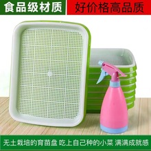 ѿ��˱Pѿ�������P�Nֲ��ѿ����o������ˮ��P���ϷN������P