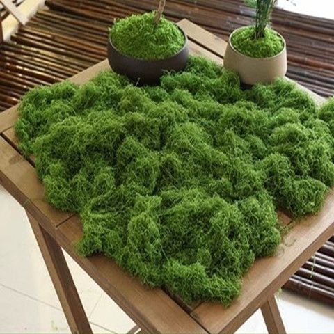 羊毛造景掉色不植物墙水陆缸假山石头仿真苔藓青苔缸藓园林雨淋|undefined