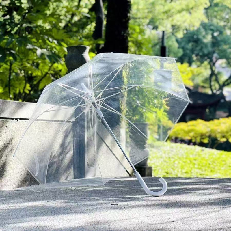 自动长柄双人用透明伞白色透明雨伞加厚拍照神器骨纯色透明雨伞|undefined