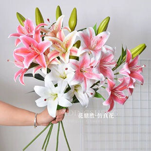 �¿���滨3�^1�ٴ�ٺ� 3D��ӡ�zƬ�ٺϻ� ��Y��ܛ�b�b� ���Q