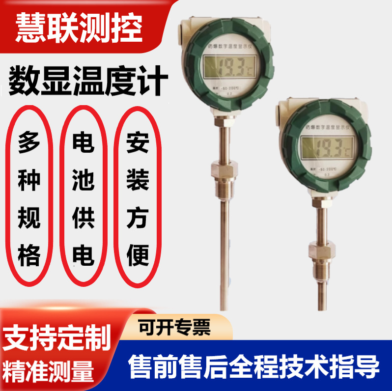 一体化式防爆就地温度显示仪计防腐锂电池供电PT100 数显温度计