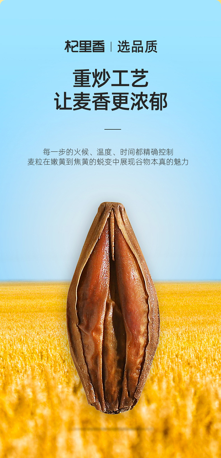 Roasted Barley Tea 238g Bottle Low Temperature Slow Baked Fragrant Herbal Grain Tea quality and texture