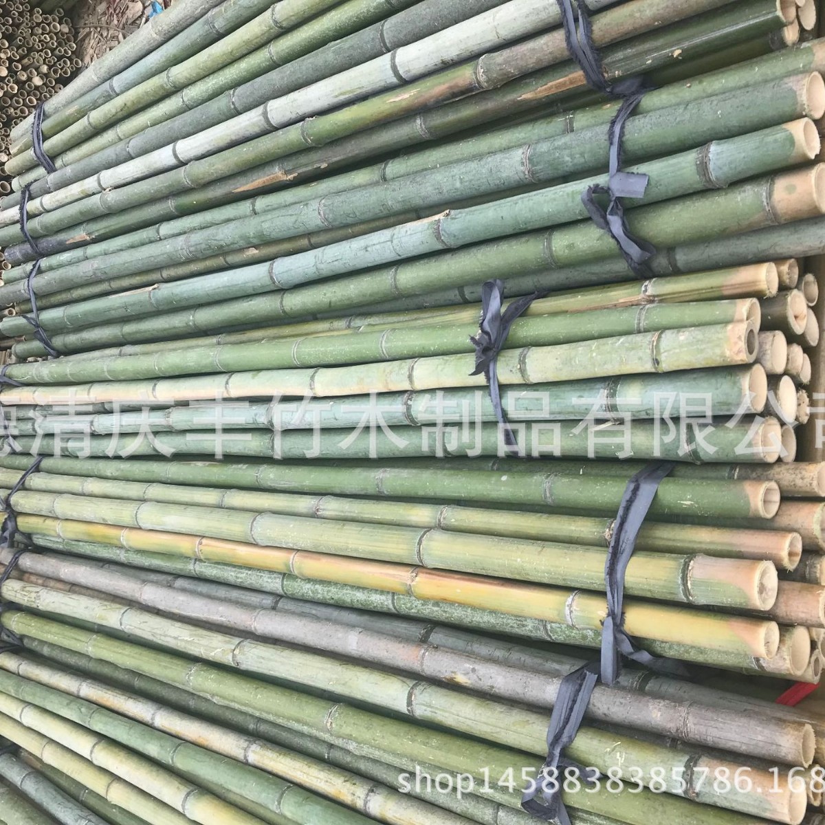 Place of Origin wholesale Bamboo machining Bamboo Bamboo Bamboo Scaffolding plant Bamboo Bamboo Bamboo Bamboo Bamboo Fence
