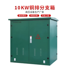 10KV�߉���|��֧�䲻�P��F���ֽ���һ�M���������P䓑����_�]��