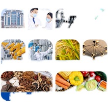 늟�a�ع��L�����䌍��Ҹߜع��I������əCС�ͺ���a�ؿ���