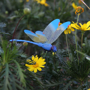 Three-dimensional Painted Dragonfly Decorative Accessories Dragonfly Magnetic Sticker Origin Supply Simulation Dragonfly Refrigerator Sticker