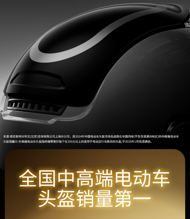 Two Little Bees 3C Certified Electric Motorcycle Helmet