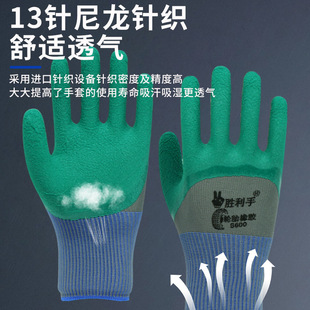 ݆̥���z���׹����s���@ˇ�����o������ĥ����͸����z���z�Ӻ�