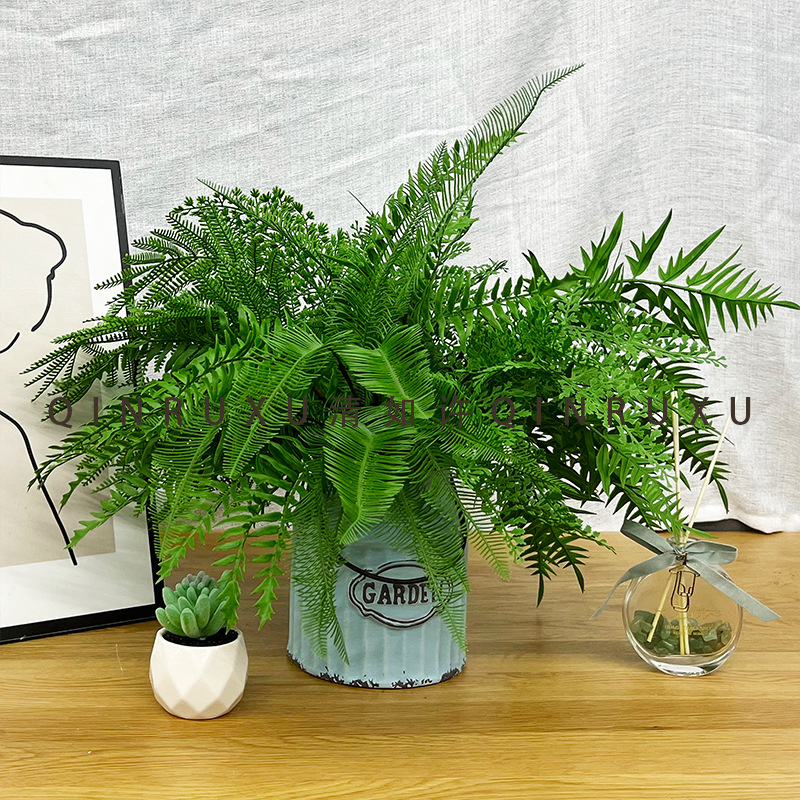 家居装饰仿真绿植波斯蕨叶肾蕨叶植物手感绿草户外摄影道具花艺