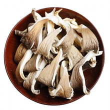平菇片干貨農家新貨雲南特產真姬菇鳳尾菇蘑菇干平菇菌包批發250g
