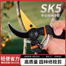 园艺修枝剪盆景园艺剪花店园艺园林剪刀家用修枝省力剪粗枝嫁接剪