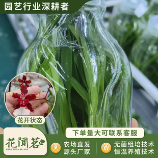�л������m 0831 ����ƿ��M�����״���҃������Ի�������r��