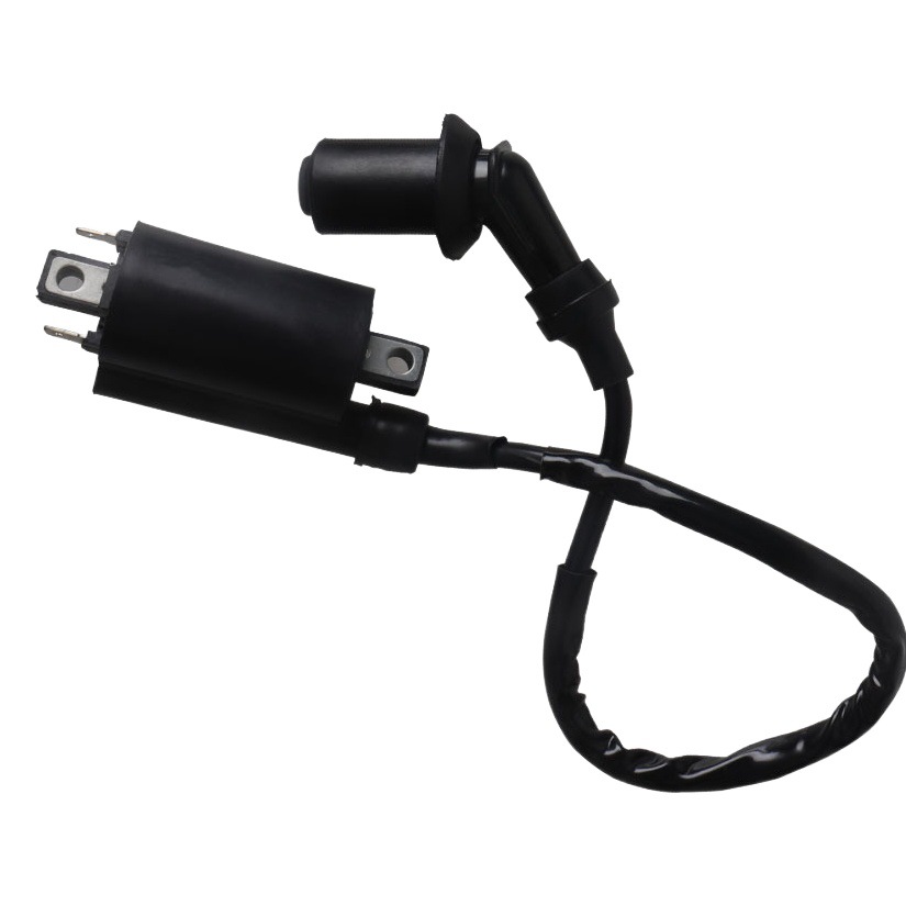 Aplicable a V-Star250/xv125/xv250/virago route66 Yamaha motocicleta bobina de encendido