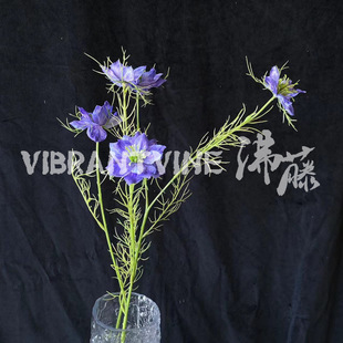 �ڷN��ins�L�ߙn���滨�Ƶ��c�b������廨�[����˹�ռٻ�