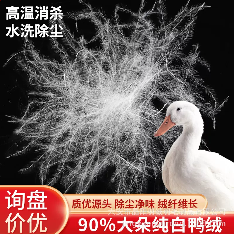 90纯白鸭绒 新国标纯白中大朵新国标水洗羽绒 直供羽毛被服