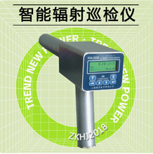 上海RM2030射线检测仪/辐射含量检测仪器RM-2030型高精度