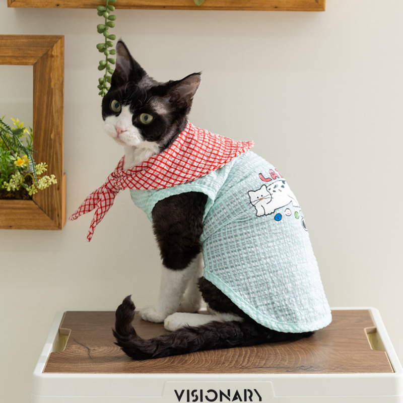 Primavera y verano gatito gatito pequeño gatito sin pelo gatito cuadrado burbujas lindas corbatas chaleco de dibujos animados gato azul ropa de mascotas gatos