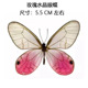 Rose Crystal Eye Butterfly-Spreated