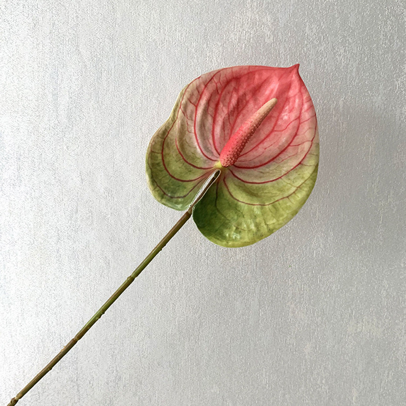 3D 플라밍고 팜 그라데이션 25#