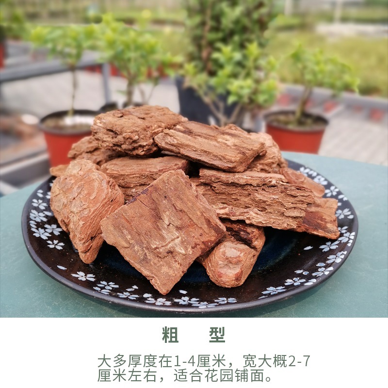 소나무 비늘껍질 거친형 5L (원가 19.8위안)