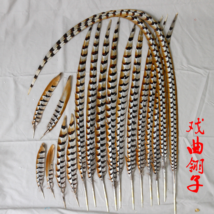 Sun Wukong Lianghua Dan Ópera de Pekín Ópera de Pekín rendimiento de color natural Peluga salvaje Peluga de pollo de plumas largas Lingzishan