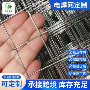 �S��䓽z�W늺��W��̼䓽z���ظ��x���o�W����ů�WƬ����\�F�z�W