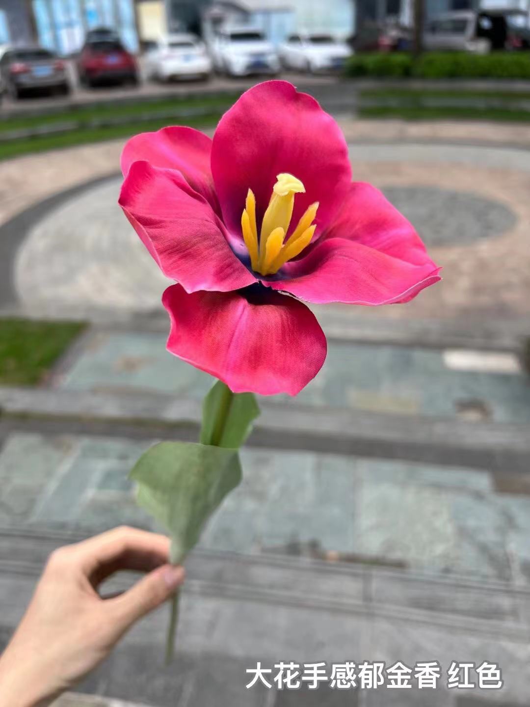 微信图片_20230515152723