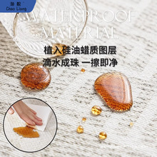 輕奢客廳可擦沙發茶幾厚免2024免洗新款地墊防水地毯卧室包郵包郵