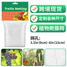 跨境现货trellis netting 白色涤纶9-15cm无结方格子网植物爬藤网