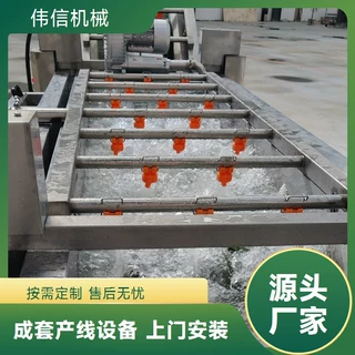 全自动小鱼仔清洗线 304材质果蔬气泡清洗机
