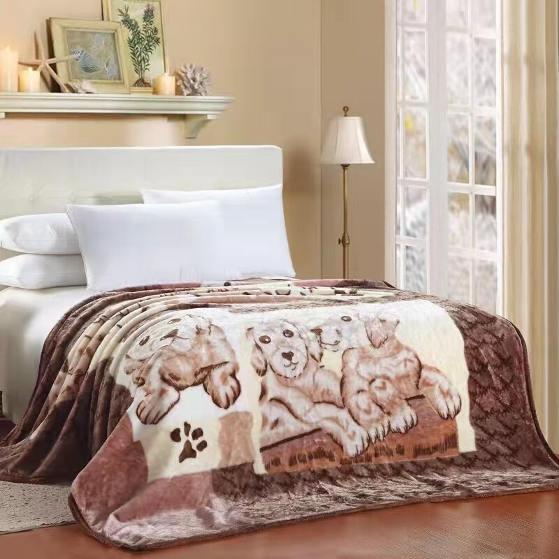 Shel Blanket Single Layer Thickeneded Winter Wedding Blanket Autumn and Winter Quilt Coral Velvet Blanket Single and Double Air-Conditioned Blanket Shel Blanket Single Layer Thickeneded Winter Wedding Blanket Autumn and Winter Quilt Coral Velvet Blanket Single and Double Air-Conditioned Blanket