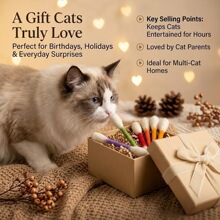 �羳��Ʒ����ѷ�������ʵ��Cat Toys with Catnipè�䳬�����ǩ