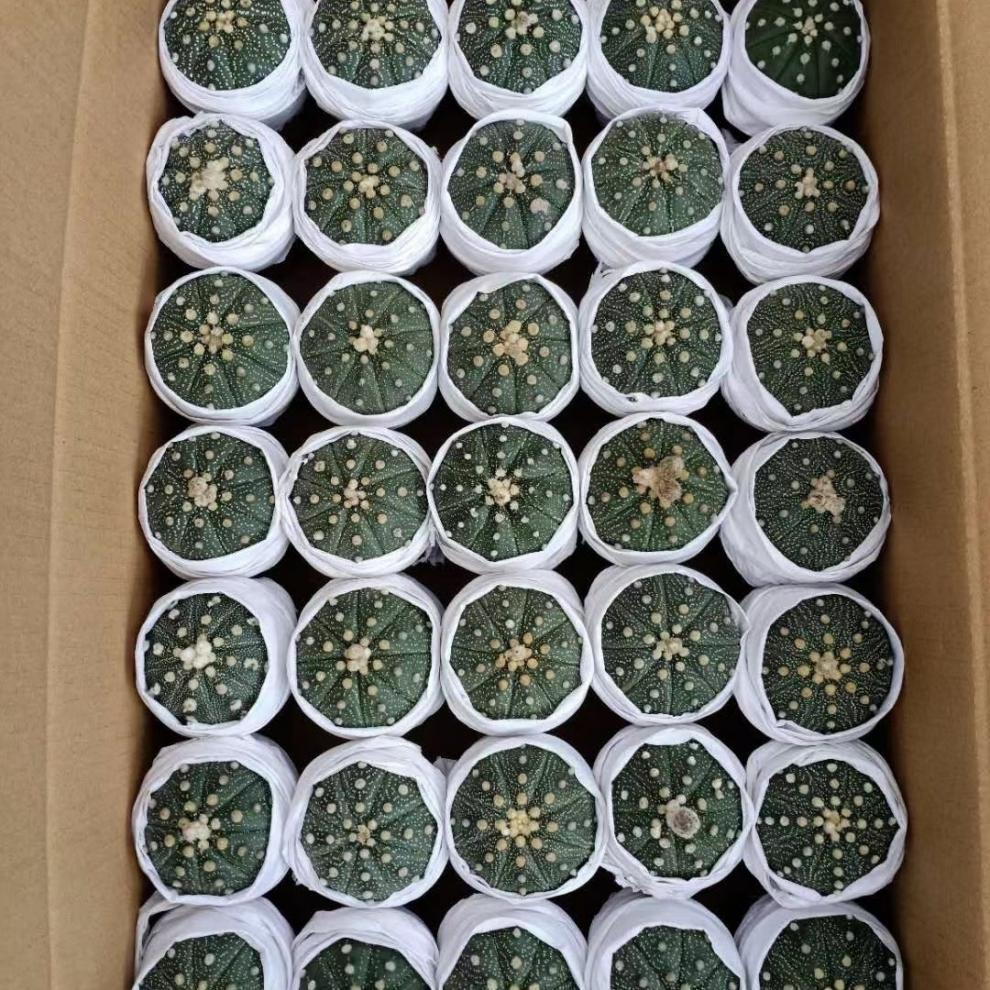 3a374c08-0712-481b-bc03-81b9fd6ac3b2.jpe