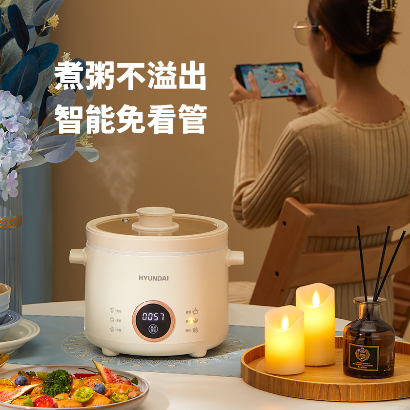 HYUNDAI多功能迷你电煮锅 热销电饭煲小型煲汤锅2L【不锈钢蒸笼】|undefined