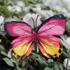Silk 11CM butterfly-color large size 15