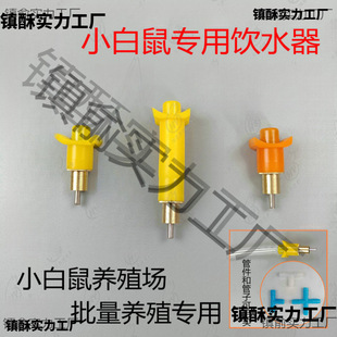 С�������^�Ԅ��ˮ��ˮ������Bֳ��