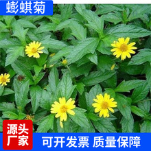 ���l�������շN���S��ī���S�������Ұ�ջ����S�����~���շN