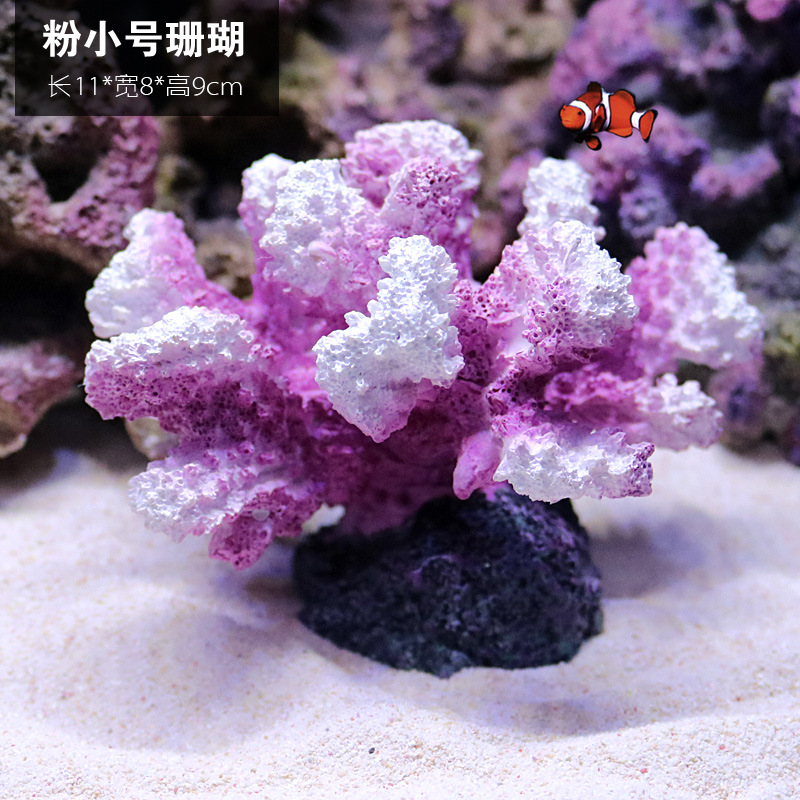 珊瑚1716