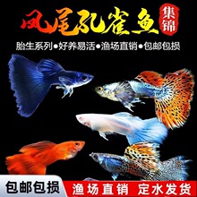 ��ȸ�~�Pβ�~С�͟Ꭷ�~�絭ˮ�~���B�ͻ���R�~�^�p�~���w�~����