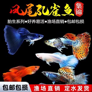 ��ȸ�~�Pβ�~С�͟Ꭷ�~�絭ˮ�~���B�ͻ���R�~�^�p�~���w�~����