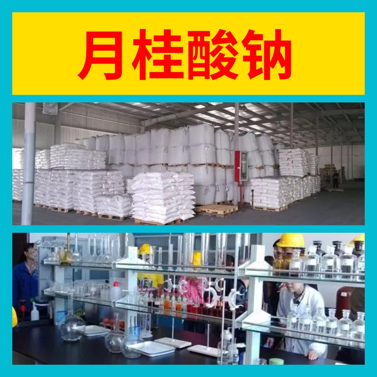 月桂酸钠  厂家直供20年生产经验回复及时服务周到山东浙江福建