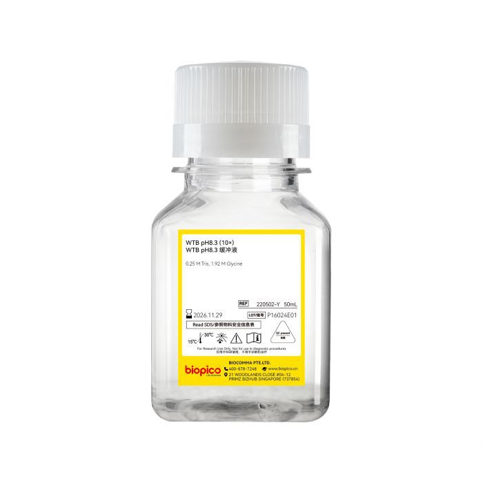 样品 WTB pH 8.3 转膜缓冲液（10×）