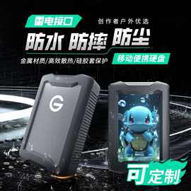 闪迪大师 极客6T外置5t存储4t机械移动硬盘2t Type-C/3.1 /雷电3